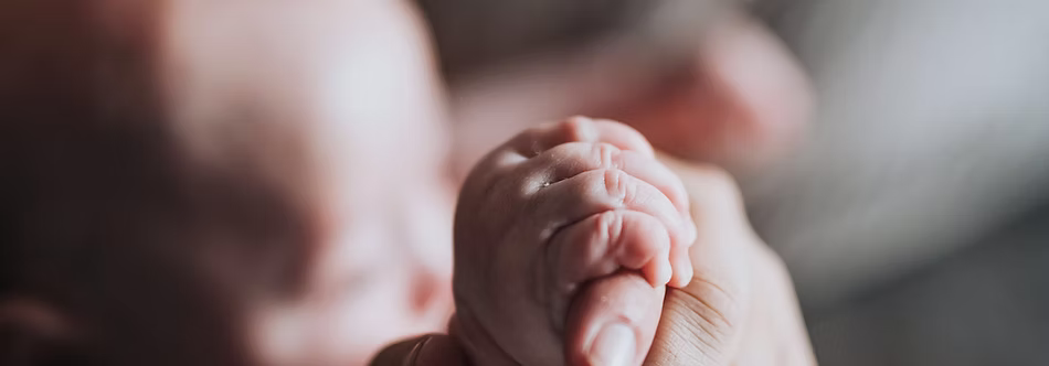 Child Travel Consent Parental Travel Consent